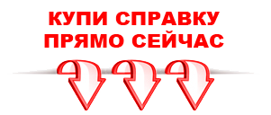 справка в Тольятти